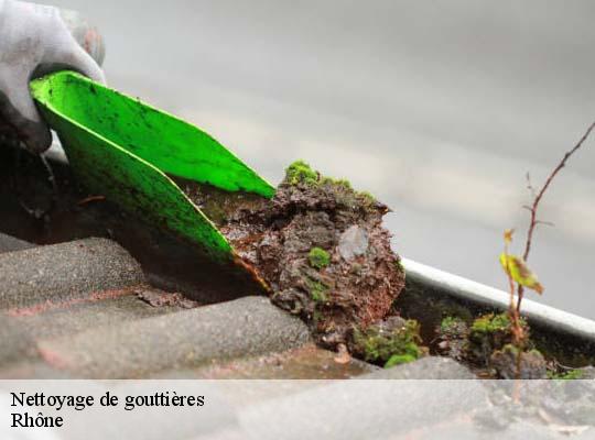Nettoyage de gouttières 69 Rhône  Ets Steve Spécialiste Gouttières Rhône