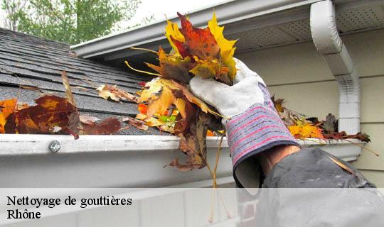 Nettoyage de gouttières 69 Rhône  Ets Lagrenee votre expert en toiture