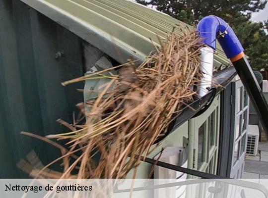 Nettoyage de gouttières 69 Rhône  Ets Lagrenee votre expert en toiture