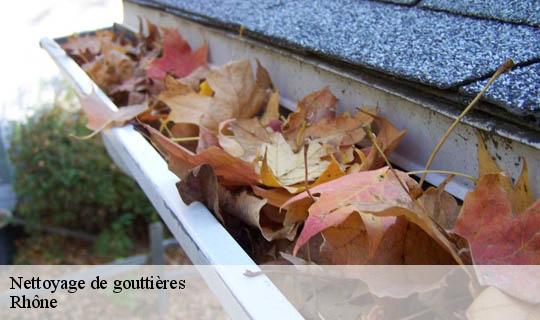 Nettoyage de gouttières 69 Rhône  Ets Lagrenee votre expert en toiture