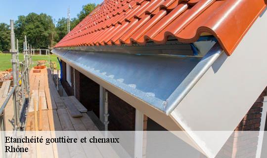 Etanchéité gouttière et chenaux 69 Rhône  Ets Lagrenee votre expert en toiture