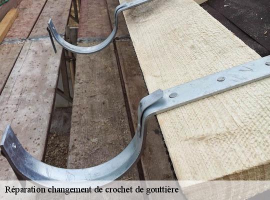 Réparation changement de crochet de gouttière 69 Rhône  Ets Lagrenee votre expert en toiture