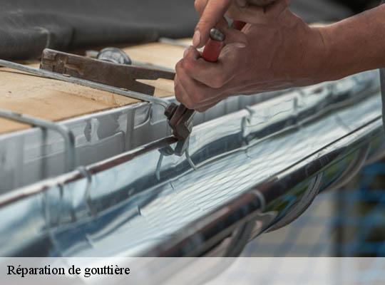Réparation de gouttière 69 Rhône  Ets Lagrenee votre expert en toiture