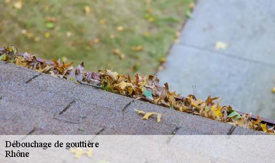 Débouchage de gouttière 69 Rhône  Ets Lagrenee votre expert en toiture