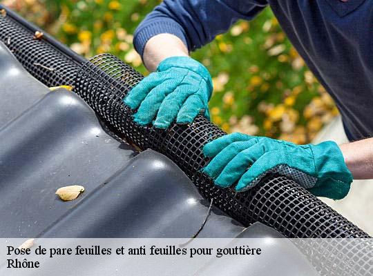 Pose de pare feuilles et anti feuilles pour gouttière 69 Rhône  Ets Steve Spécialiste Gouttières Rhône