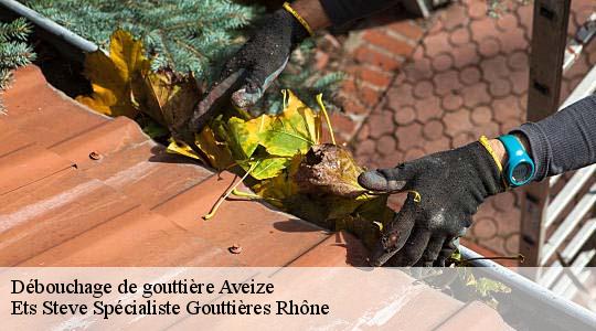 Débouchage de gouttière  aveize-69610 Ets Steve Spécialiste Gouttières Rhône