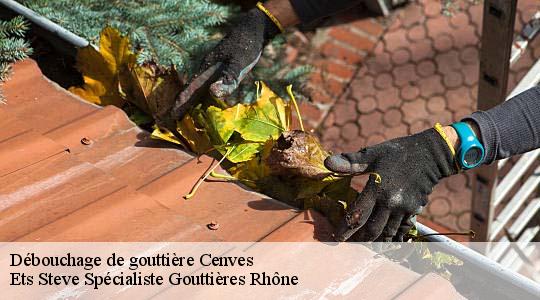 Débouchage de gouttière  cenves-69840 Ets Steve Spécialiste Gouttières Rhône