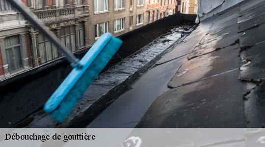 Débouchage de gouttière  cenves-69840 Ets Steve Spécialiste Gouttières Rhône