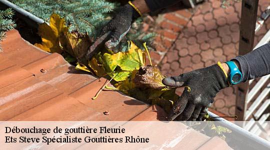 Débouchage de gouttière  fleurie-69820 Ets Steve Spécialiste Gouttières Rhône