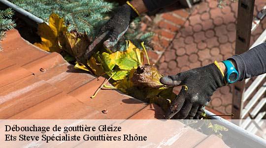 Débouchage de gouttière  gleize-69400 Ets Steve Spécialiste Gouttières Rhône