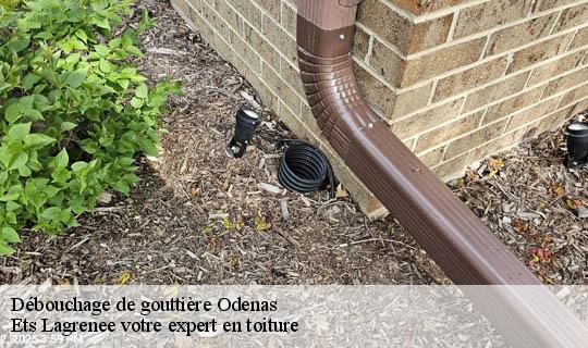 Débouchage de gouttière  odenas-69460 Ets Lagrenee votre expert en toiture
