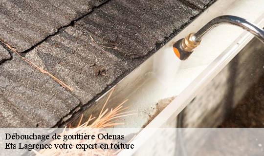 Débouchage de gouttière  odenas-69460 Ets Lagrenee votre expert en toiture
