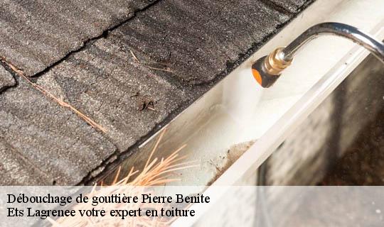 Débouchage de gouttière  pierre-benite-69310 Ets Lagrenee votre expert en toiture