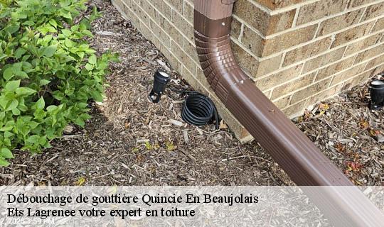 Débouchage de gouttière  quincie-en-beaujolais-69430 Ets Lagrenee votre expert en toiture