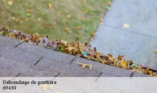 Débouchage de gouttière  quincie-en-beaujolais-69430 Ets Lagrenee votre expert en toiture