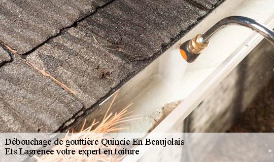 Débouchage de gouttière  quincie-en-beaujolais-69430 Ets Lagrenee votre expert en toiture