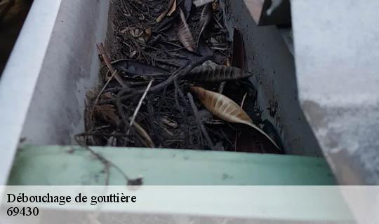 Débouchage de gouttière  quincie-en-beaujolais-69430 Ets Lagrenee votre expert en toiture
