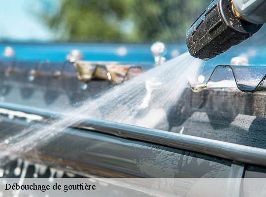 Débouchage de gouttière  saint-genis-laval-69230 Ets Lagrenee votre expert en toiture