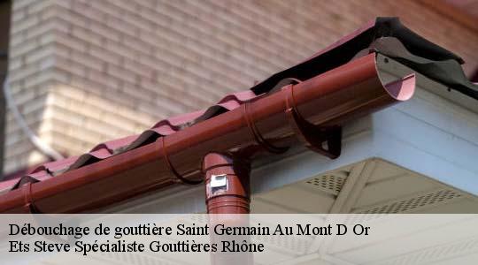Débouchage de gouttière  saint-germain-au-mont-d-or-69650 Ets Steve Spécialiste Gouttières Rhône