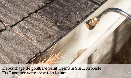 Débouchage de gouttière  saint-germain-sur-l-arbresle-69210 Ets Lagrenee votre expert en toiture