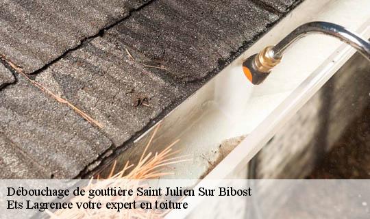 Débouchage de gouttière  saint-julien-sur-bibost-69690 Ets Lagrenee votre expert en toiture
