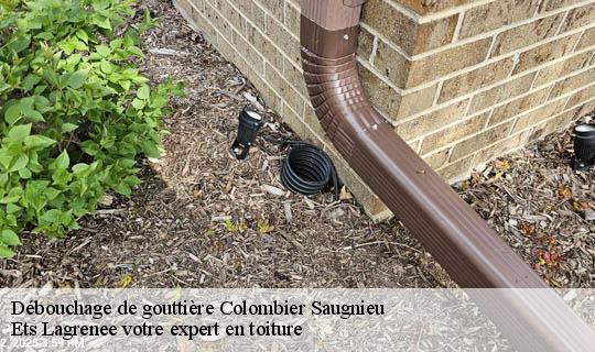 Débouchage de gouttière  colombier-saugnieu-69124 Ets Lagrenee votre expert en toiture