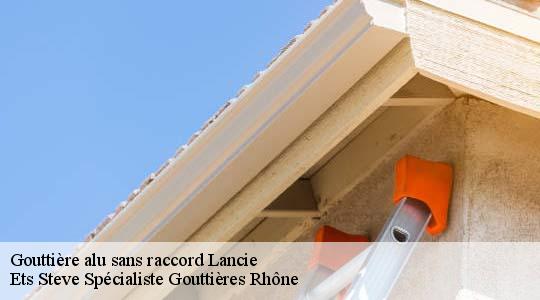 Gouttière alu sans raccord  lancie-69220 Ets Steve Spécialiste Gouttières Rhône