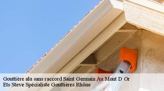 Gouttière alu sans raccord  saint-germain-au-mont-d-or-69650 Ets Steve Spécialiste Gouttières Rhône