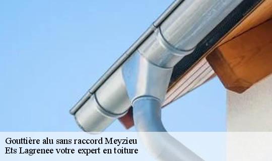 Gouttière alu sans raccord  meyzieu-69330 Ets Lagrenee votre expert en toiture