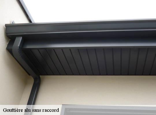 Gouttière alu sans raccord  meyzieu-69330 Ets Lagrenee votre expert en toiture