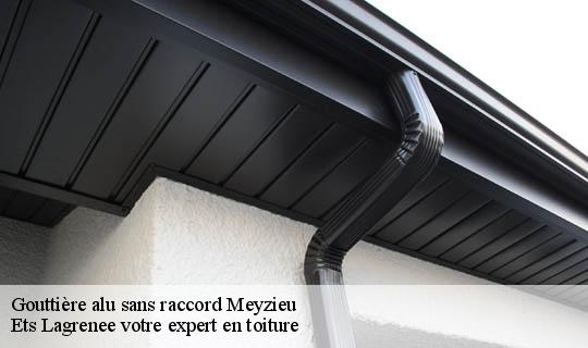 Gouttière alu sans raccord  meyzieu-69330 Ets Lagrenee votre expert en toiture