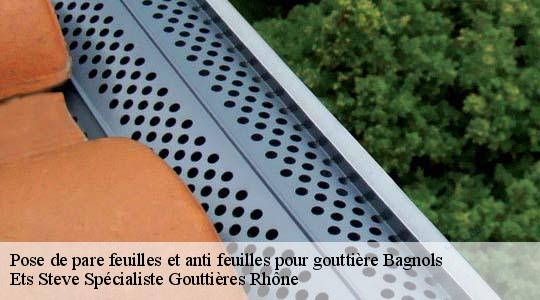 Pose de pare feuilles et anti feuilles pour gouttière  bagnols-69620 Ets Steve Spécialiste Gouttières Rhône