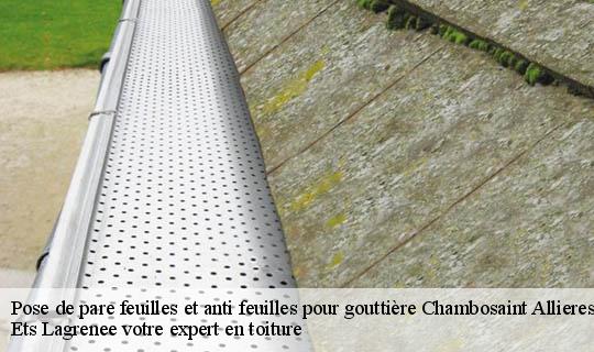 Pose de pare feuilles et anti feuilles pour gouttière  chambosaint-allieres-69870 Ets Lagrenee votre expert en toiture