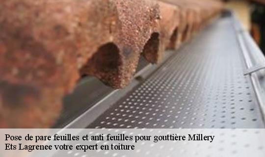 Pose de pare feuilles et anti feuilles pour gouttière  millery-69390 Ets Lagrenee votre expert en toiture