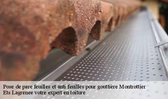 Pose de pare feuilles et anti feuilles pour gouttière  montrottier-69770 Ets Lagrenee votre expert en toiture