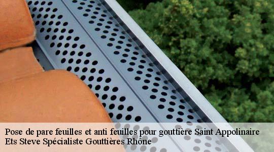 Pose de pare feuilles et anti feuilles pour gouttière  saint-appolinaire-69170 Ets Steve Spécialiste Gouttières Rhône
