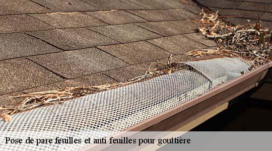 Pose de pare feuilles et anti feuilles pour gouttière  saint-laurent-d-oingt-69620 Ets Steve Spécialiste Gouttières Rhône