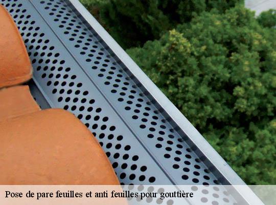 Pose de pare feuilles et anti feuilles pour gouttière  villeurbanne-69100 Ets Lagrenee votre expert en toiture