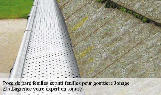 Pose de pare feuilles et anti feuilles pour gouttière  jonage-69330 Ets Lagrenee votre expert en toiture