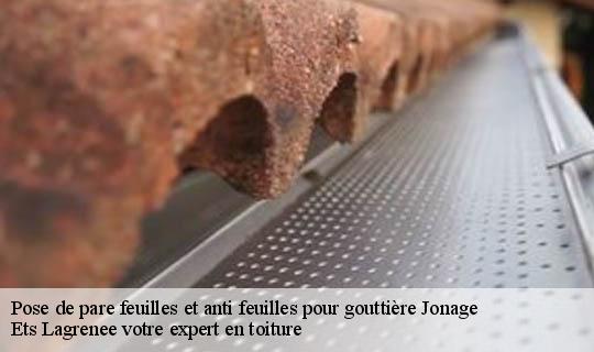 Pose de pare feuilles et anti feuilles pour gouttière  jonage-69330 Ets Lagrenee votre expert en toiture