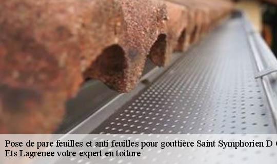 Pose de pare feuilles et anti feuilles pour gouttière  saint-symphorien-d-ozon-69360 Ets Lagrenee votre expert en toiture