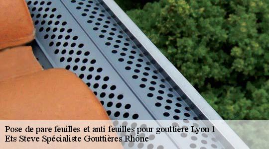 Pose de pare feuilles et anti feuilles pour gouttière  lyon-1-69001 Ets Steve Spécialiste Gouttières Rhône