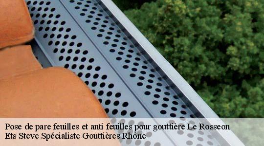 Pose de pare feuilles et anti feuilles pour gouttière  le-rosseon-69440 Ets Steve Spécialiste Gouttières Rhône