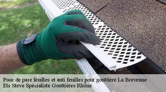 Pose de pare feuilles et anti feuilles pour gouttière  la-brevenne-69690 Ets Steve Spécialiste Gouttières Rhône