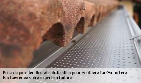 Pose de pare feuilles et anti feuilles pour gouttière  la-giraudiere-69690 Ets Lagrenee votre expert en toiture