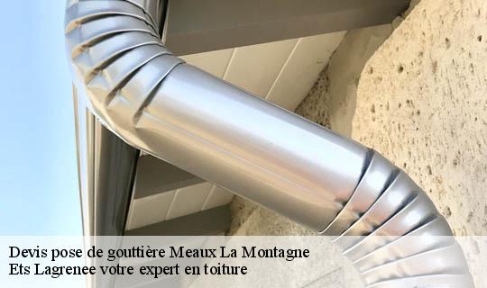 Devis pose de gouttière  meaux-la-montagne-69550 Ets Lagrenee votre expert en toiture