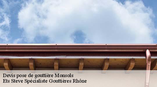 Devis pose de gouttière  monsols-69860 Ets Steve Spécialiste Gouttières Rhône