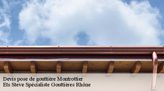 Devis pose de gouttière  montrottier-69770 Ets Steve Spécialiste Gouttières Rhône