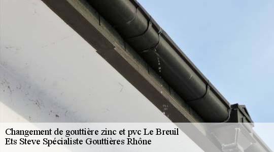 Changement de gouttière zinc et pvc  le-breuil-69620 Ets Steve Spécialiste Gouttières Rhône