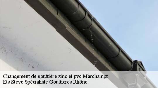 Changement de gouttière zinc et pvc  marchampt-69430 Ets Steve Spécialiste Gouttières Rhône